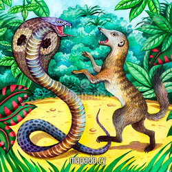 Рикки-Тикки-Тави