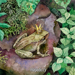 Царевна-лягушка